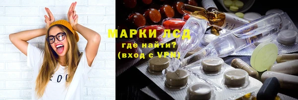 стаф Алексин