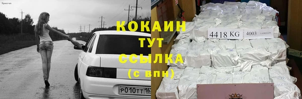 стаф Алексин