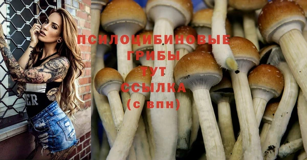 тгк Алзамай