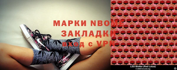 стаф Алексин