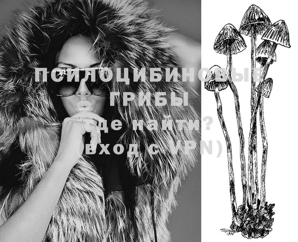 тгк Алзамай