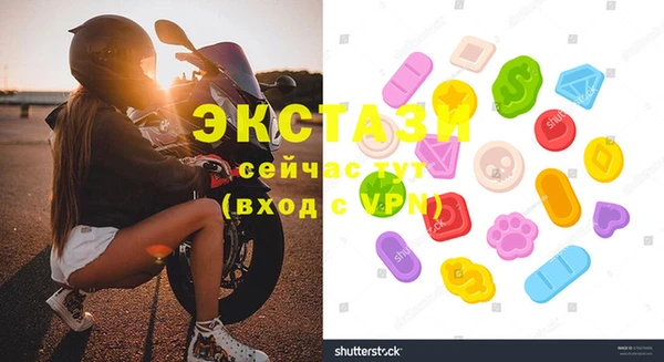 стаф Алексин
