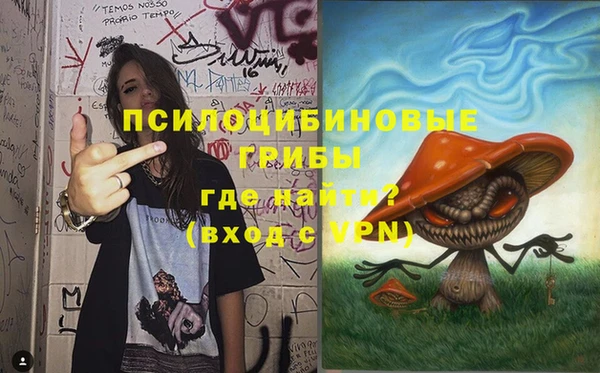 тгк Алзамай