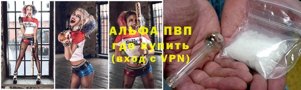 стаф Алексин