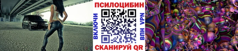 цена   Муром  Псилоцибиновые грибы MAGIC MUSHROOMS 